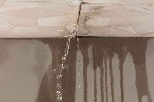 Professional Water Damage Repair technician working in Ithaca, NY